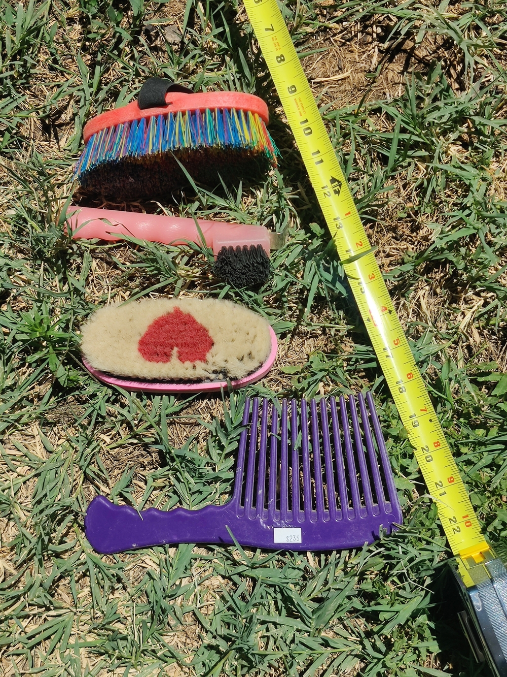 Horse Grooming Tools